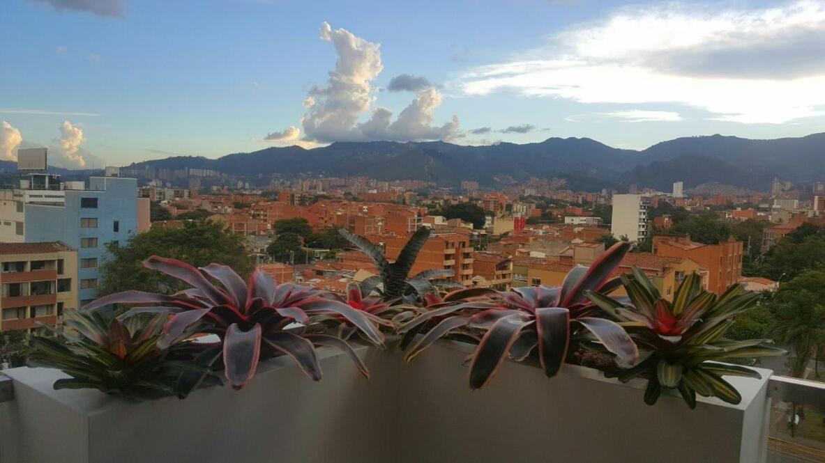 Terra Biohotel Medellín Kültér fotó